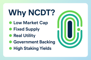 Why Nuco Cloud (NCDT)
